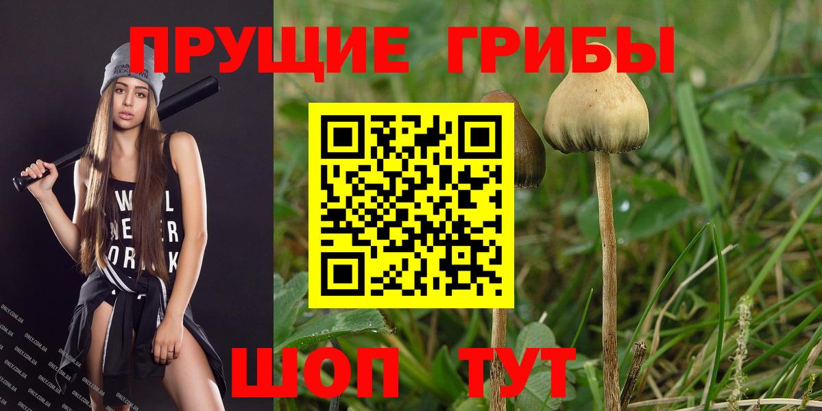 Донецк  Псилоцибиновые грибы GOLDEN TEACHER  Вход с VPN  Псилоцибиновые грибы прущие грибы 