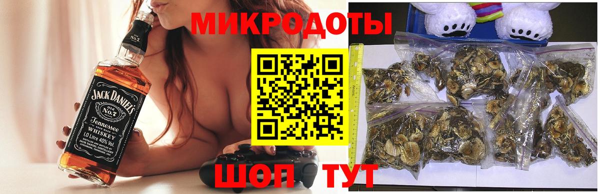Псилоцибиновые грибы Psilocybe Донецк